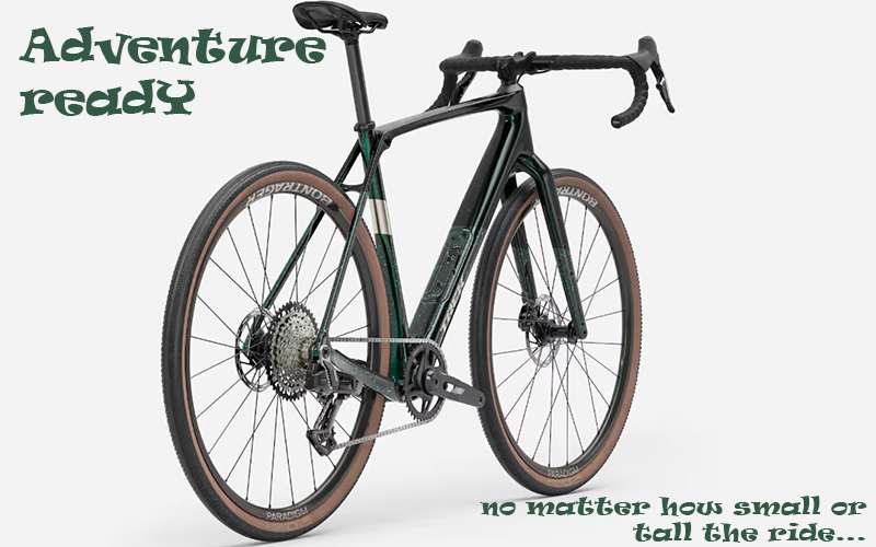 Checkpoint SL 6 AXS – Bicycle Emporium